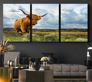 Highland Cattle Wall Art Cow Canvas Print Animal Art