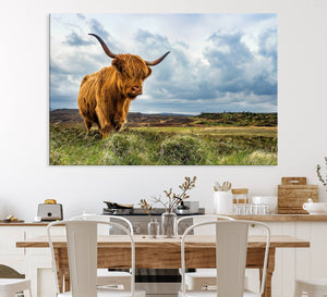 Highland Cattle Wall Art Cow Canvas Print Animal Art