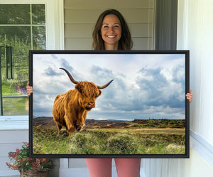 Highland Cattle Wall Art Cow Canvas Print Animal Art