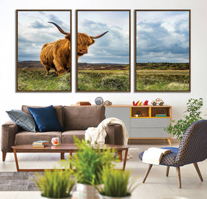 Highland Cattle Wall Art Cow Canvas Print Animal Art