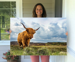 Highland Cattle Wall Art Cow Canvas Print Animal Art