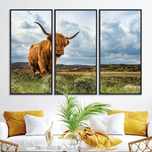 Highland Cattle Wall Art Cow Canvas Print Animal Art