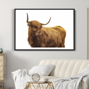 Highland Cow Wall Art Canvas Print – Framed Scottish Bull