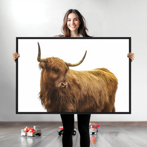 Highland Cow Wall Art Canvas Print – Framed Scottish Bull