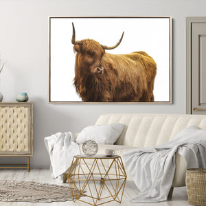 Highland Cow Wall Art Canvas Print – Framed Scottish Bull