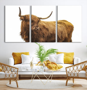 Highland Cow Wall Art Canvas Print – Framed Scottish Bull