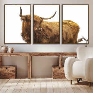 Highland Cow Wall Art Canvas Print – Framed Scottish Bull