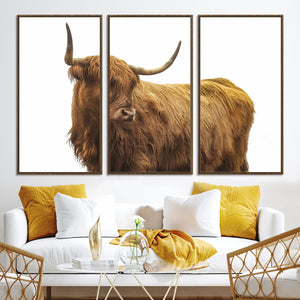 Highland Cow Wall Art Canvas Print – Framed Scottish Bull