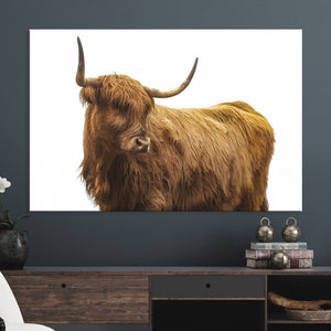 Highland Cow Wall Art Canvas Print – Framed Scottish Bull
