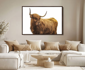 Highland Cow Wall Art Canvas Print – Framed Scottish Bull