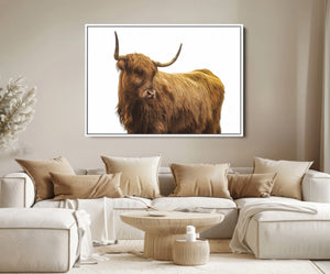 Highland Cow Wall Art Canvas Print – Framed Scottish Bull
