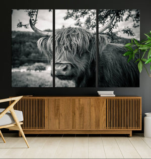 Highland Cow Wall Art Canvas Print Scottish Cattle Canvas