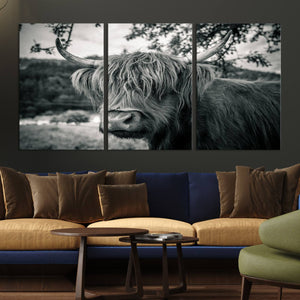 Highland Cow Wall Art Canvas Print Scottish Cattle Canvas