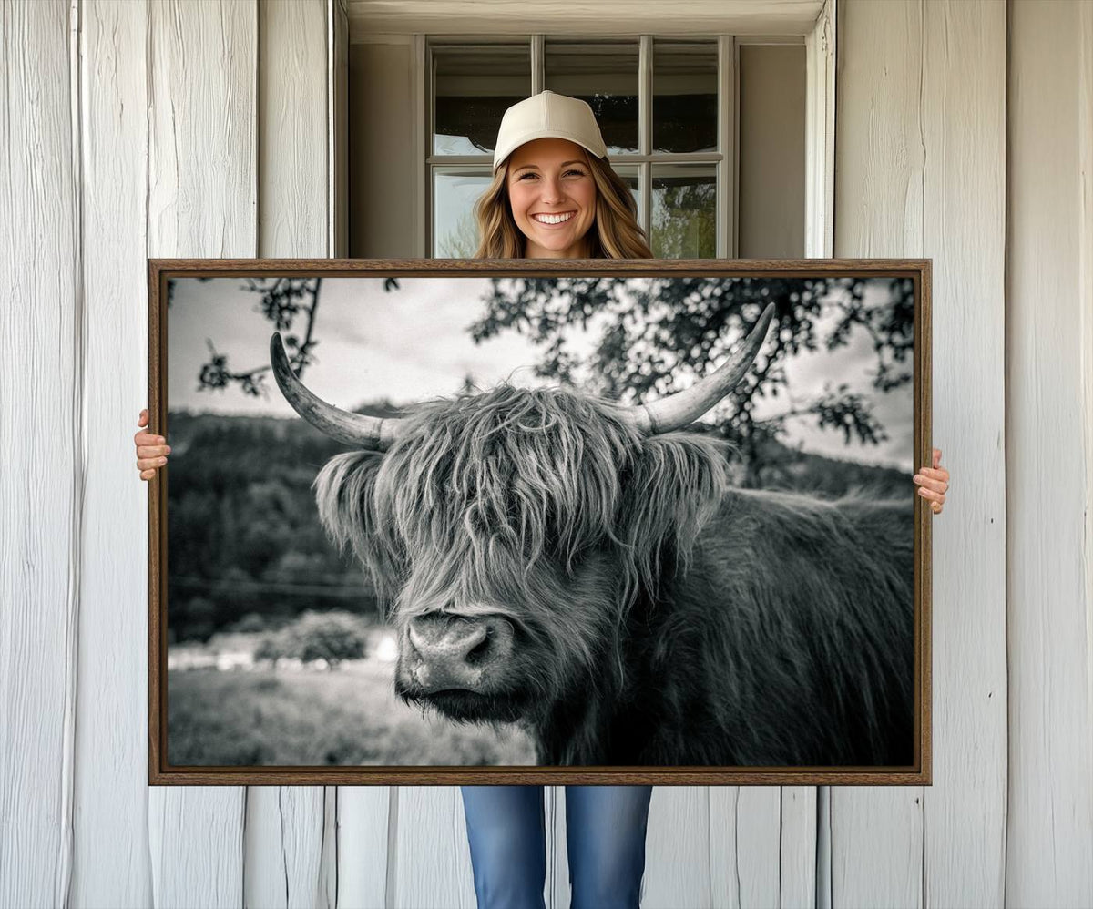 Highland Cow Wall Art Canvas Print Scottish Cattle Canvas