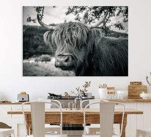 Highland Cow Wall Art Canvas Print Scottish Cattle Canvas