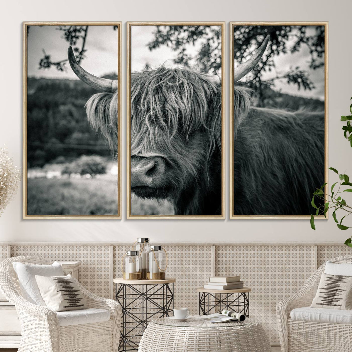 Highland Cow Wall Art Canvas Print Scottish Cattle Canvas