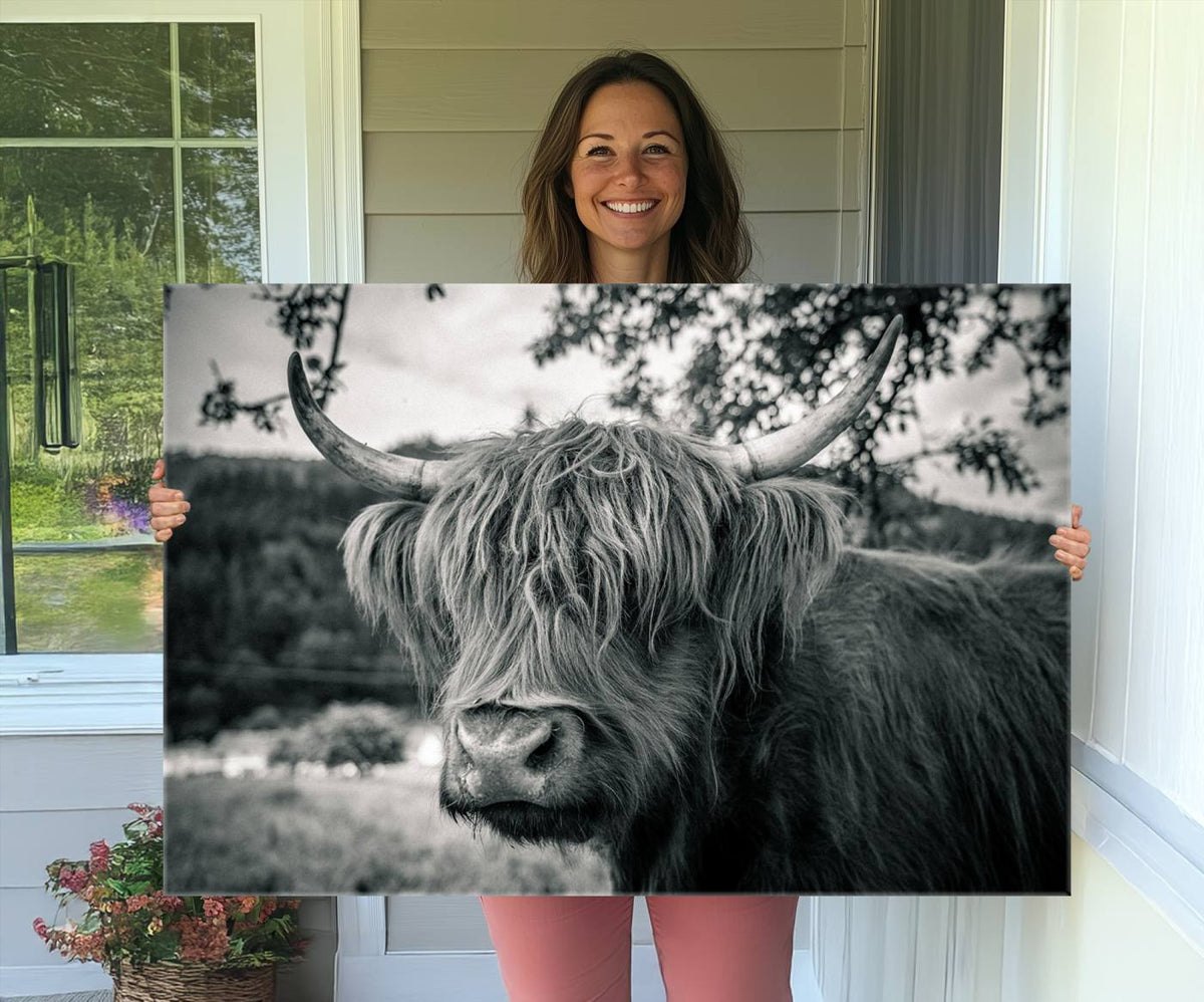 Highland Cow Wall Art Canvas Print Scottish Cattle Canvas