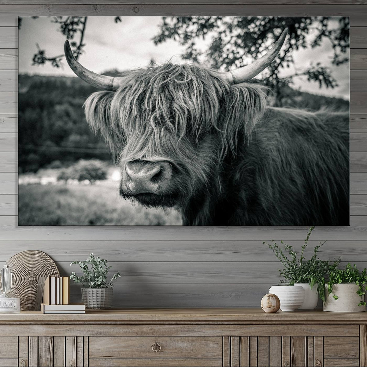 Highland Cow Wall Art Canvas Print Scottish Cattle Canvas