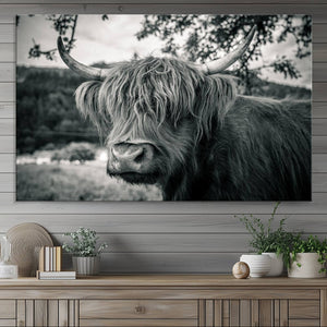 Highland Cow Wall Art Canvas Print Scottish Cattle Canvas