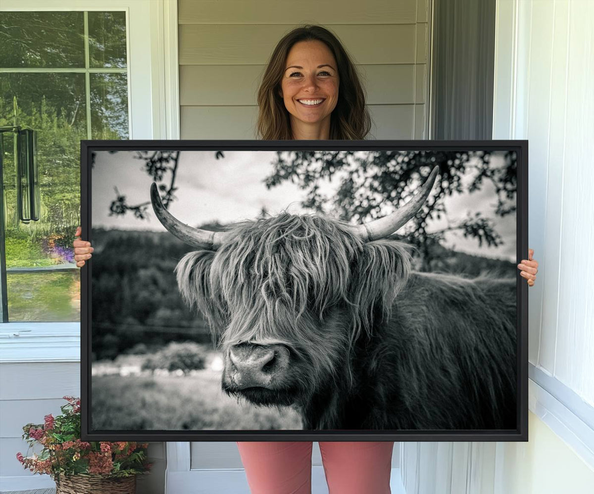 Highland Cow Wall Art Canvas Print Scottish Cattle Canvas