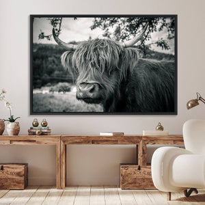Highland Cow Wall Art Canvas Print Scottish Cattle Canvas