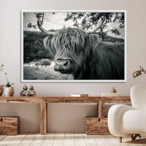 Highland Cow Wall Art Canvas Print Scottish Cattle Canvas