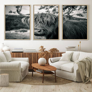 Highland Cow Wall Art Canvas Print Scottish Cattle Canvas