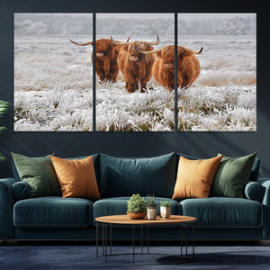 Highland Cows in Snow Canvas Art Print, Highland Cattle