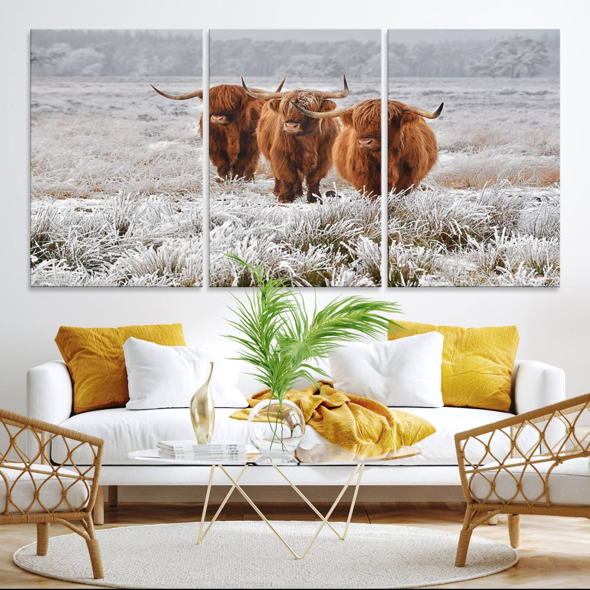 Highland Cows in Snow Canvas Art Print, Highland Cattle