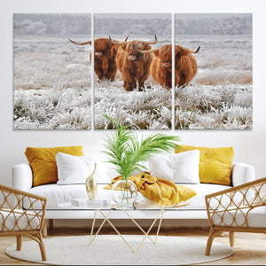 Highland Cows in Snow Canvas Art Print, Highland Cattle