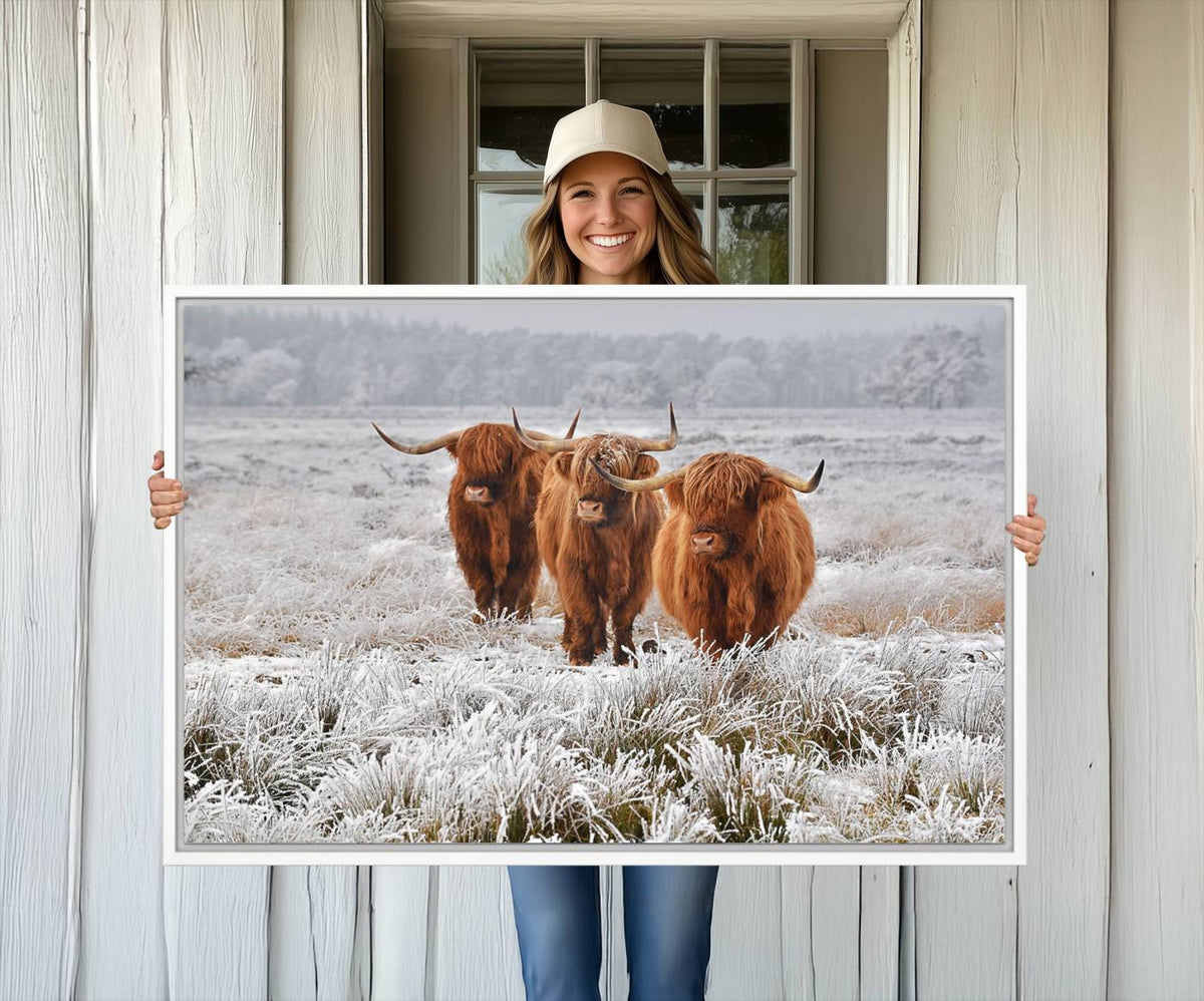 Highland Cows in Snow Canvas Art Print, Highland Cattle
