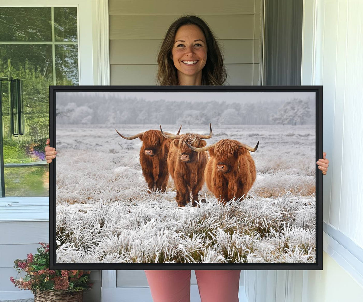 Highland Cows in Snow Canvas Art Print, Highland Cattle