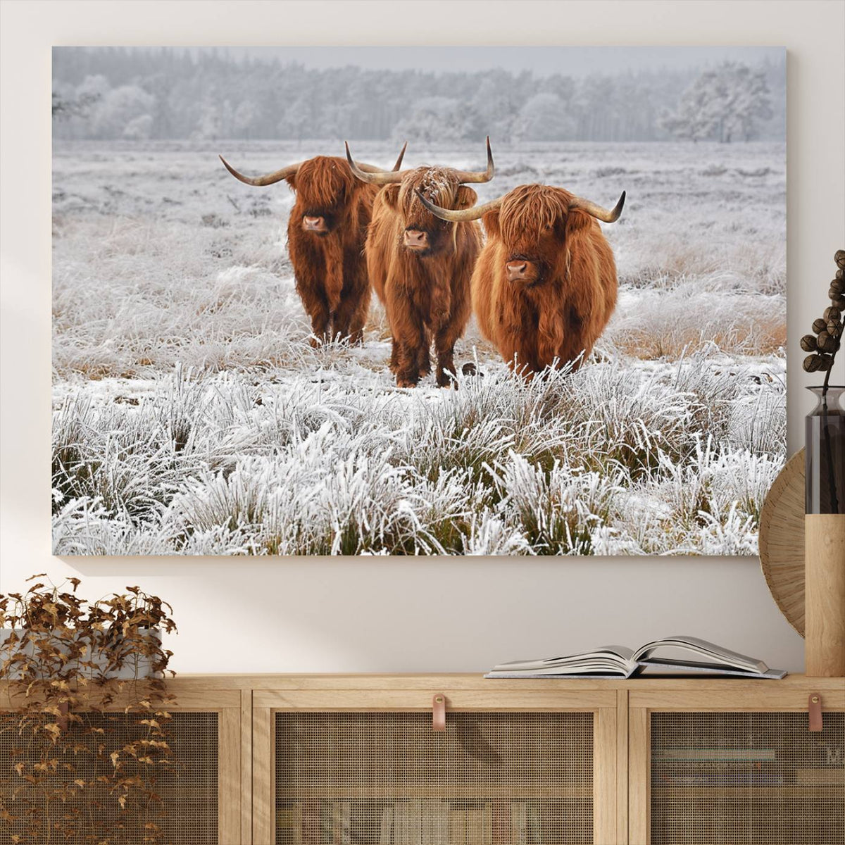 Highland Cows in Snow Canvas Art Print, Highland Cattle