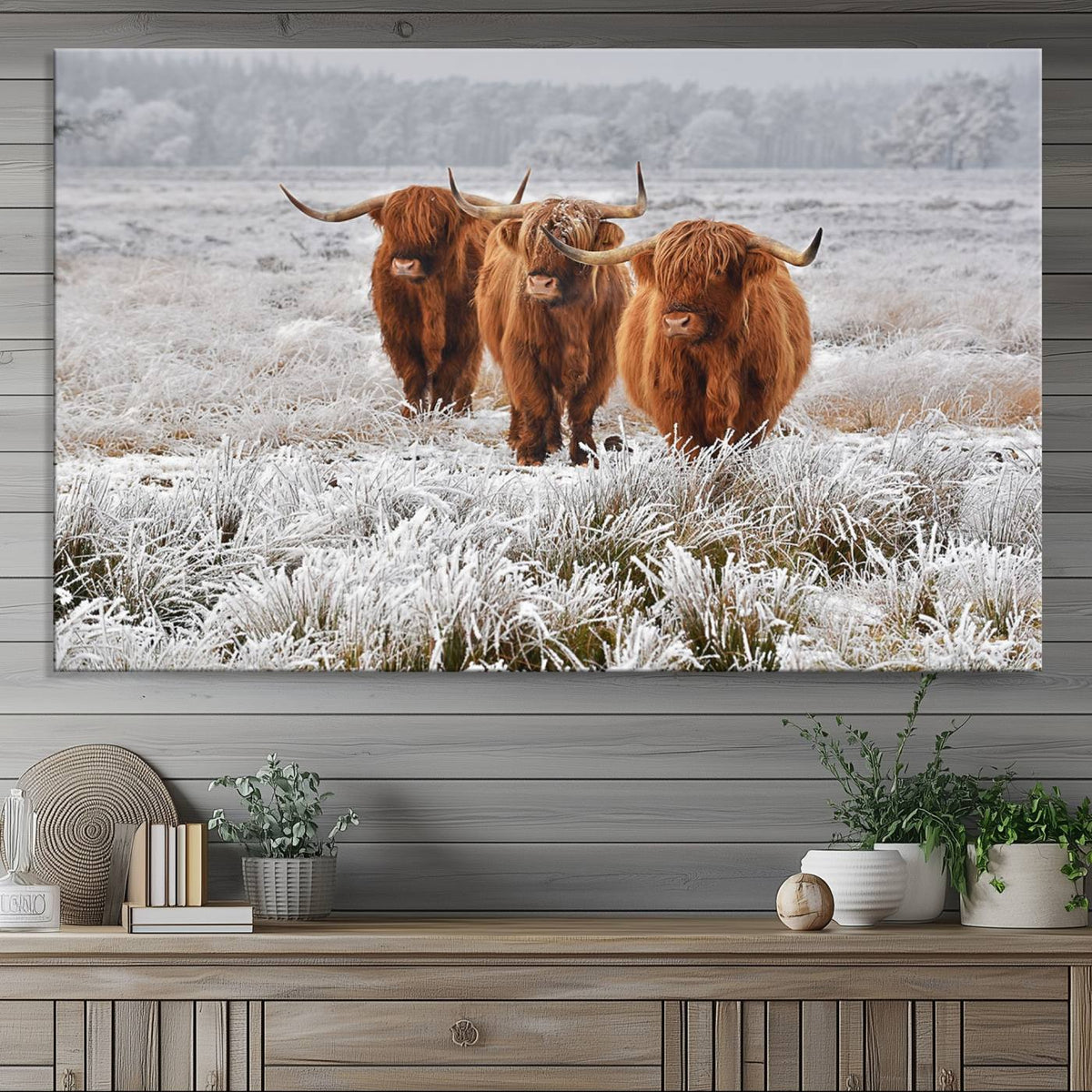 Highland Cows in Snow Canvas Art Print, Highland Cattle