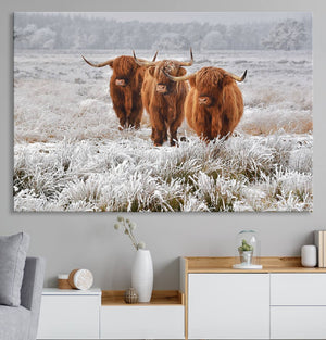Highland Cows in Snow Canvas Art Print, Highland Cattle