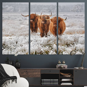 Highland Cows in Snow Canvas Art Print, Highland Cattle