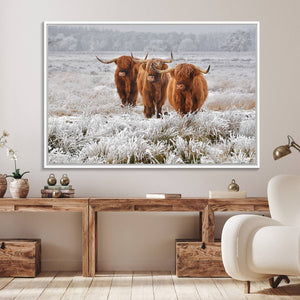 Highland Cows in Snow Canvas Art Print, Highland Cattle