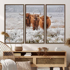 Highland Cows in Snow Canvas Art Print, Highland Cattle