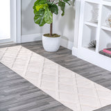 Salines Diamond Trellis Indoor/Outdoor Runner Rug