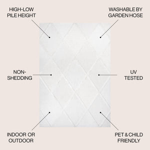 Salines Diamond Trellis Indoor/Outdoor Area Rug