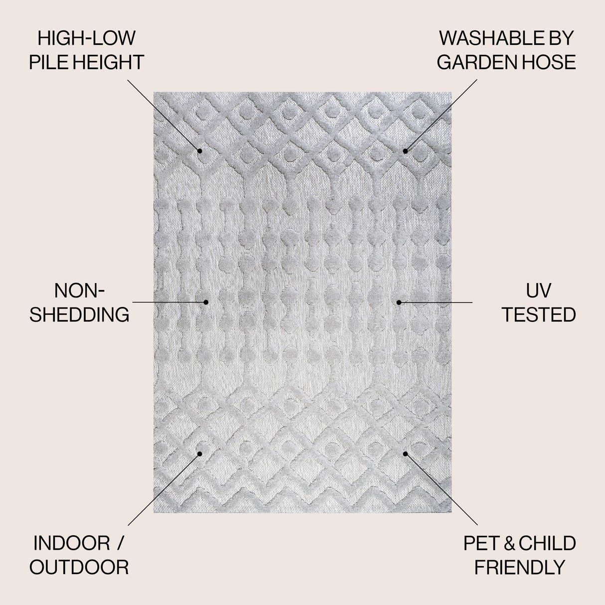 Peralta Moroccan Diamond Indoor/Outdoor Area Rug
