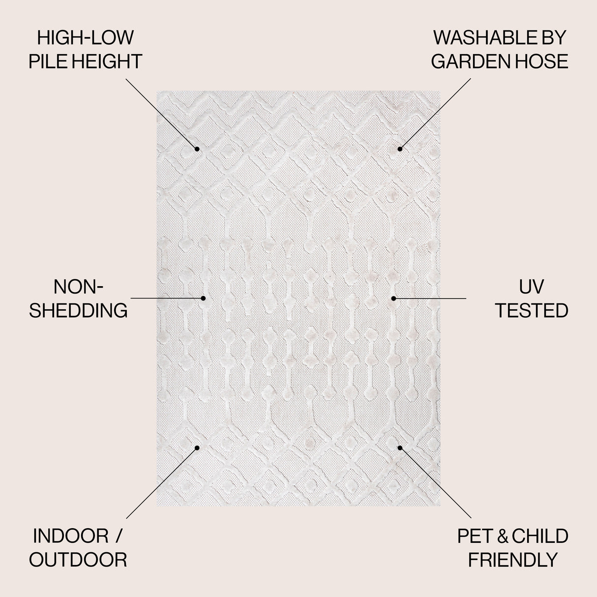 Peralta Moroccan Diamond Indoor/Outdoor Area Rug