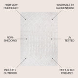 Peralta Moroccan Diamond Indoor/Outdoor Area Rug
