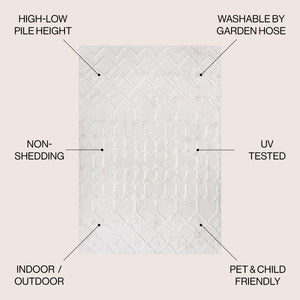 Peralta Moroccan Diamond Indoor/Outdoor Area Rug