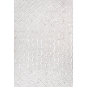 Peralta Moroccan Diamond Indoor/Outdoor Area Rug