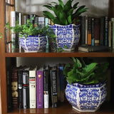 Blue and white spring blossom planter set