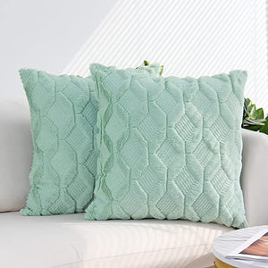 Pack of 1 Throw Pillow Wide Variety of Colors size 18"x18", 12"x20" with insert