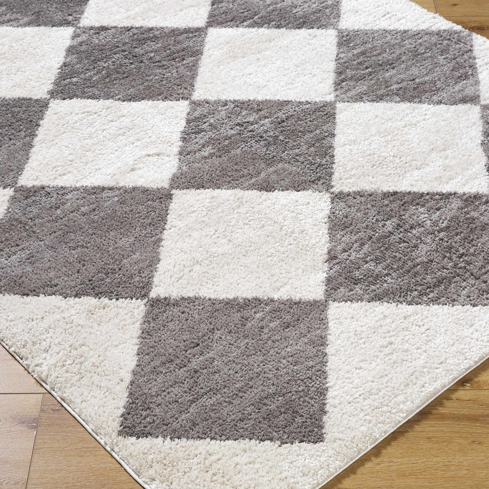 Arilla Diamond Checkered Washable Area Rug