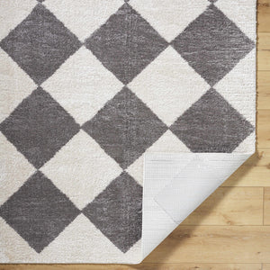 Arilla Diamond Checkered Washable Area Rug