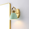 Phineas 1-Light Adjustable Farmhouse Bohemian Iron LED Vanity Light